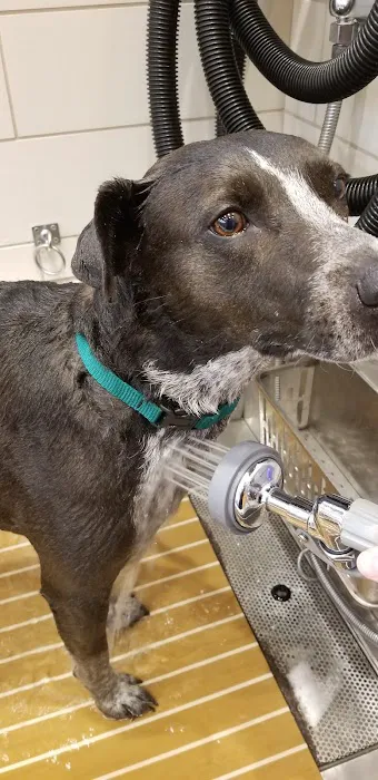 Petco 9