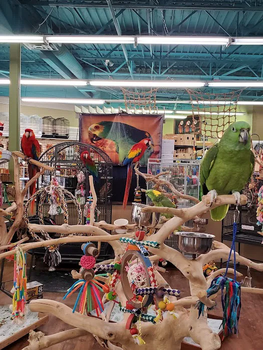 Varietees Exotic Bird Store 2