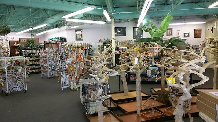 Varietees Exotic Bird Store 5