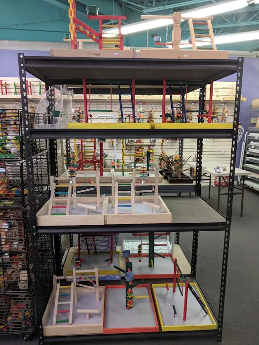 Varietees Exotic Bird Store 4