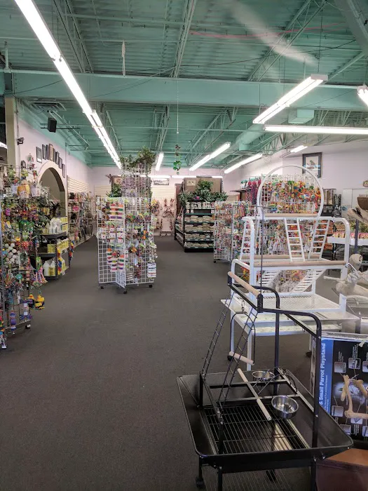 Varietees Exotic Bird Store 7