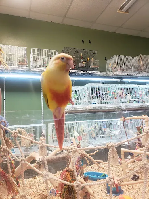 Varietees Exotic Bird Store 9