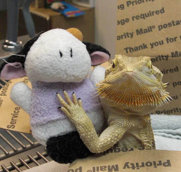 West End Veterinary Office 9