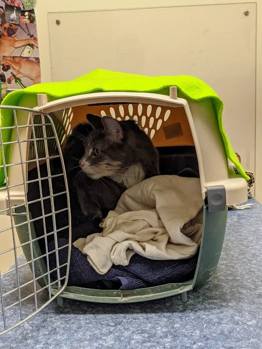 West End Veterinary Office 3