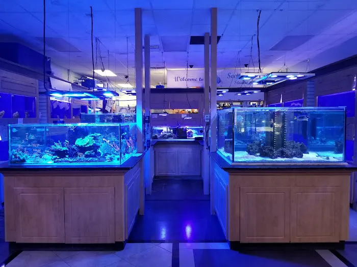 Seascape Studio 1