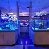 Seascape Studio ico