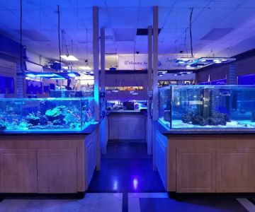 Seascape Studio
