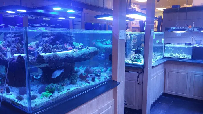 Seascape Studio 10
