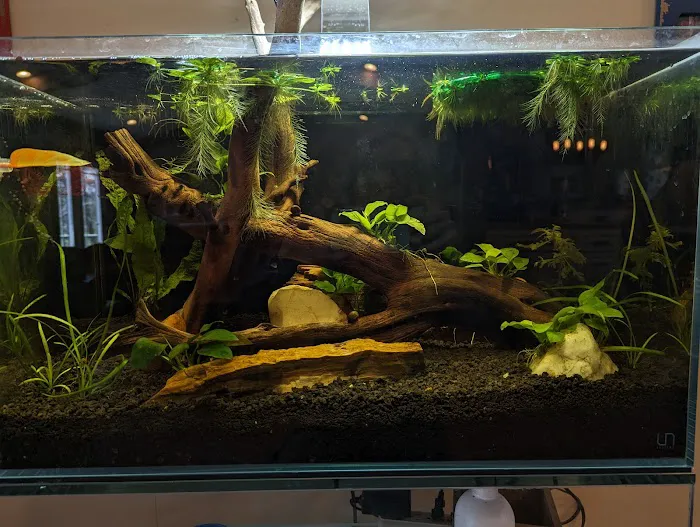 Aqua World 3