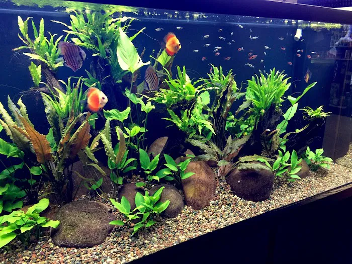 Aqua World 5