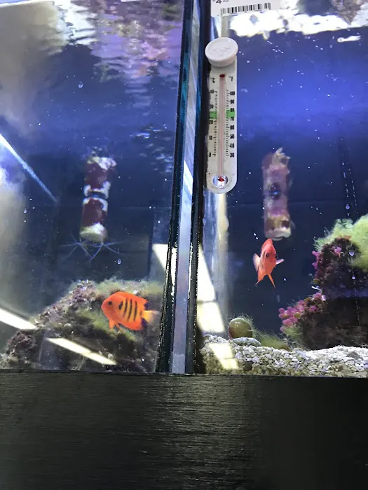 Aqua World 2