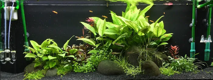 Aqua World 8