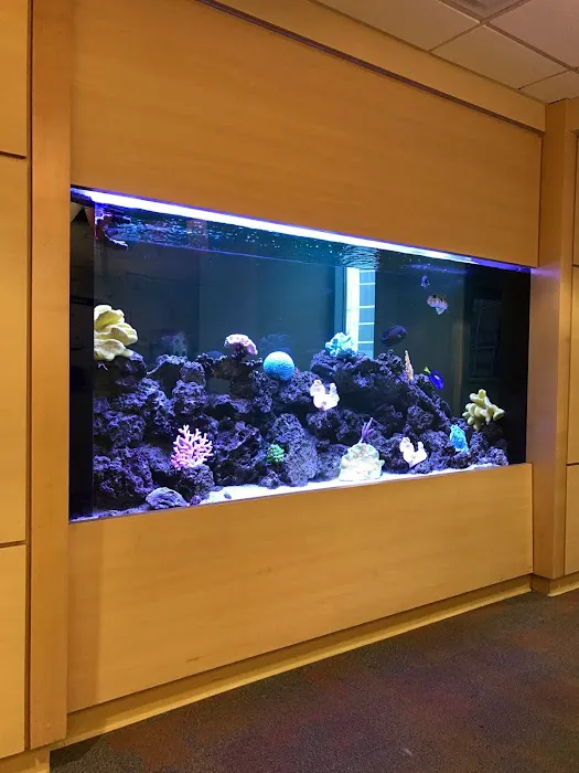 Aqua World 10