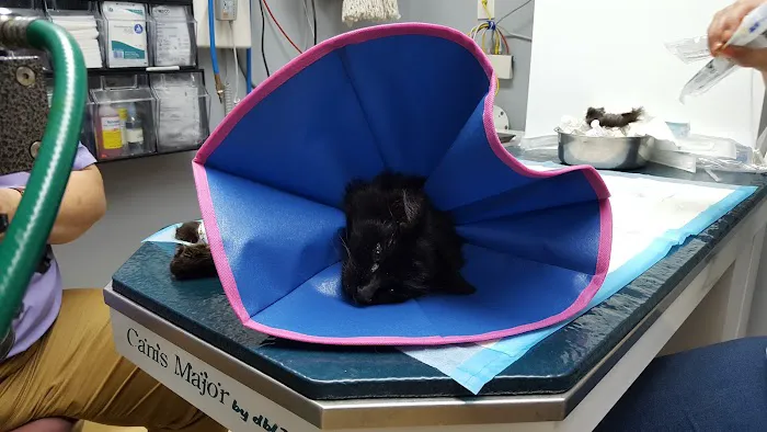 Animal Hospital of Cold Spring 5