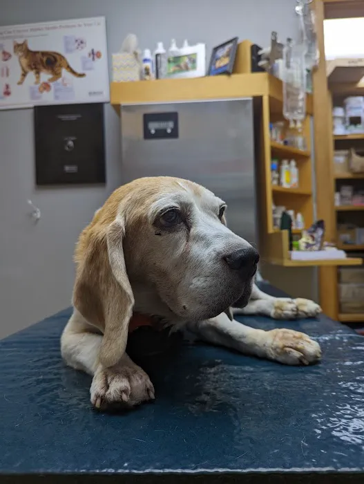 Animal Hospital of Cold Spring 9