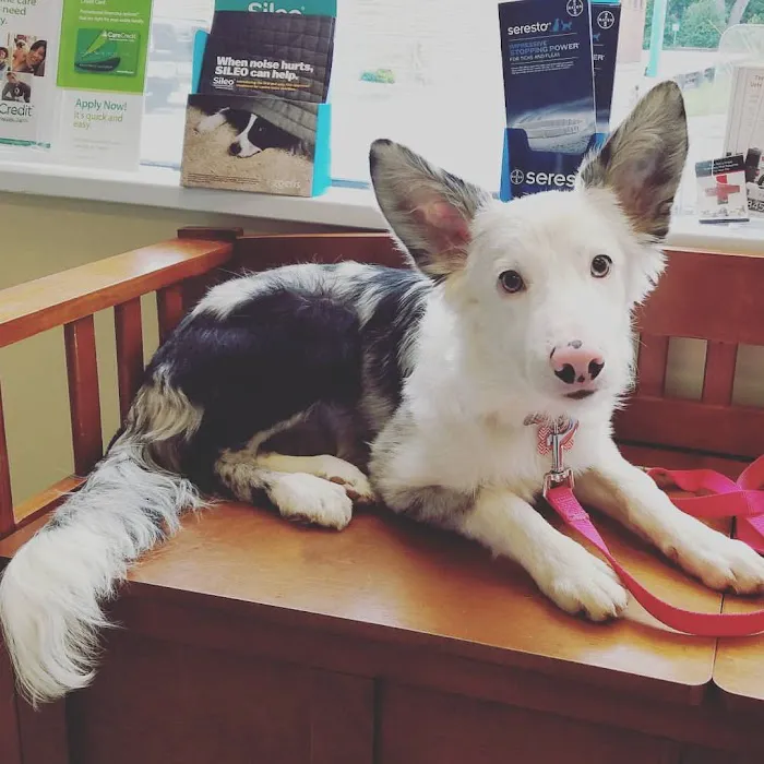 The Beacon Veterinary Associates 5