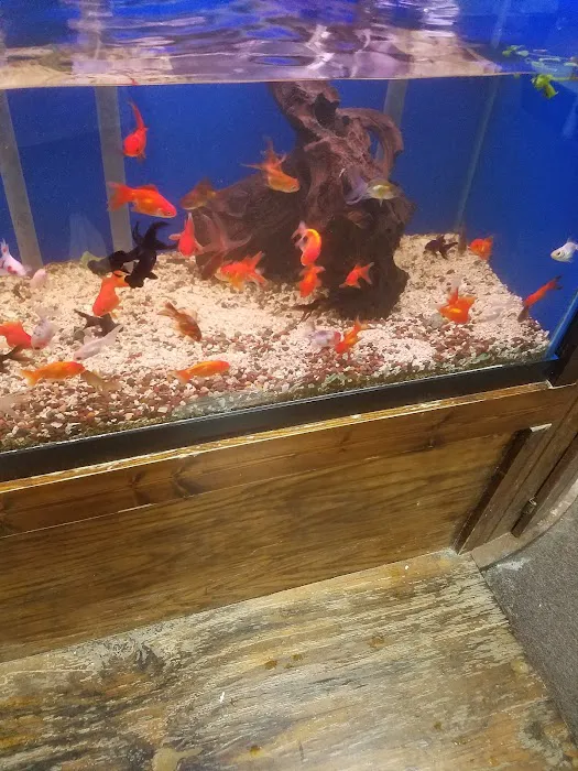 Tropical World Pets 4