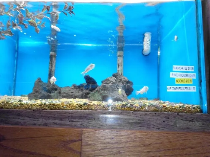 Tropical World Pets 9