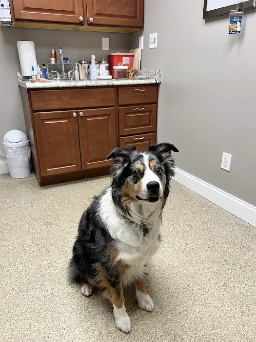 Hudson Highlands Veterinary Medical Group - Beacon 4