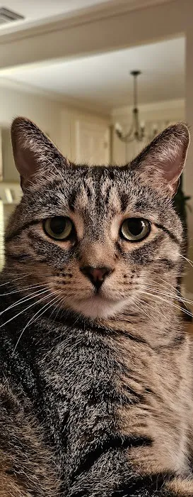 Hudson Highlands Veterinary Medical Group - Beacon 6