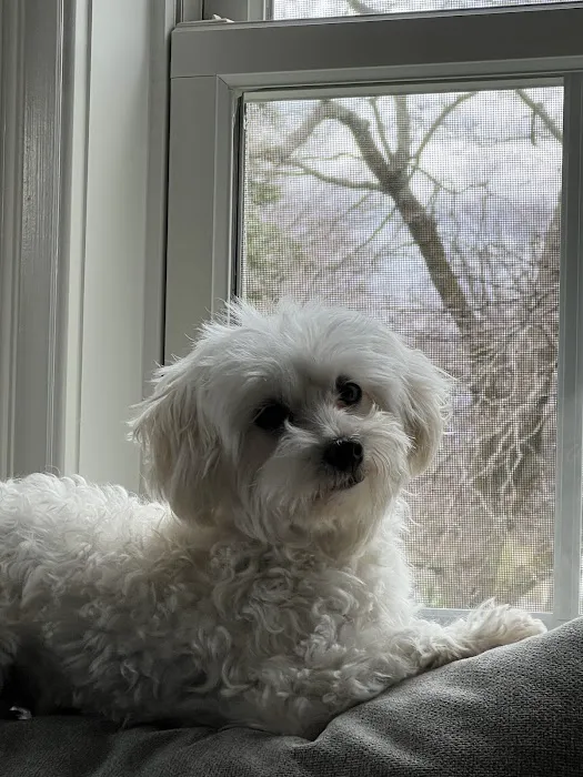 Hudson Highlands Veterinary Medical Group - Beacon 3