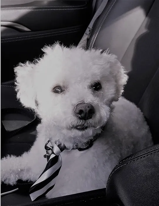 Hudson Highlands Veterinary Medical Group - Beacon 1
