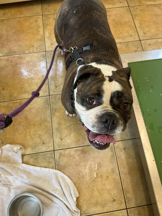 Montgomery Veterinary Hospital 4