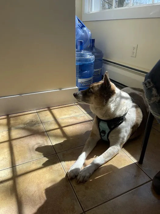Montgomery Veterinary Hospital 5