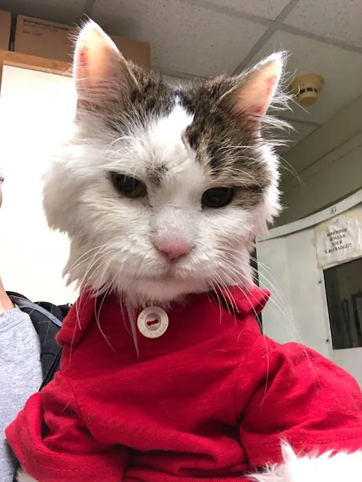 Cedarknoll Animal Hospital 3