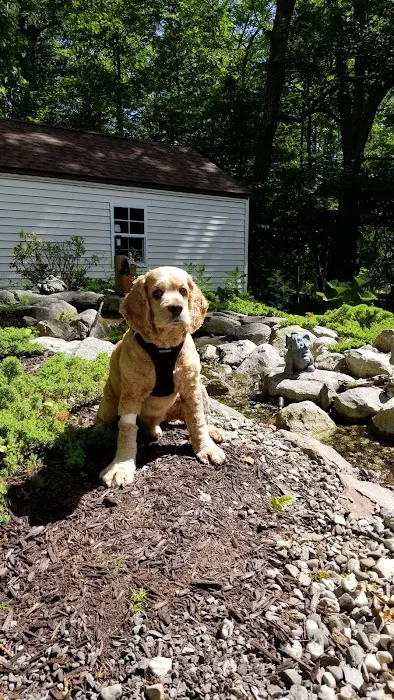Milford Animal Hospital 2