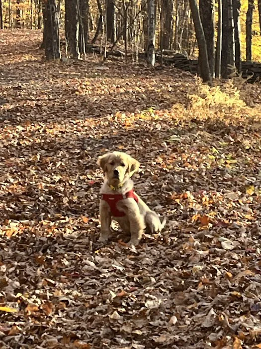 Milford Animal Hospital 10