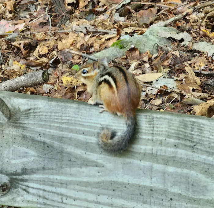Milford Animal Hospital 4