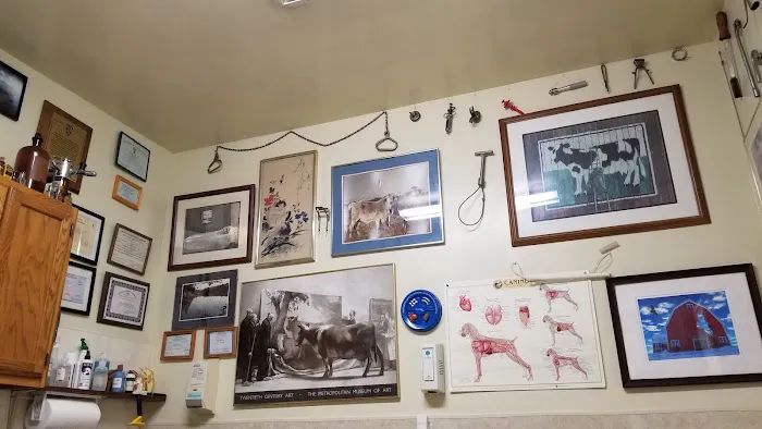 Milford Animal Hospital 3