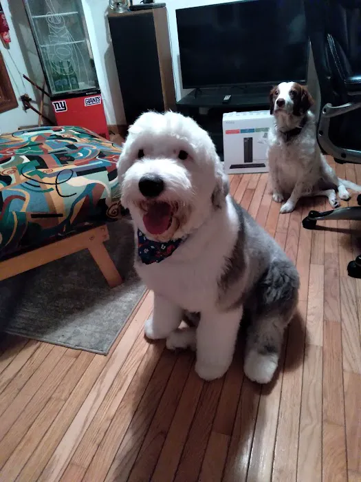 Milford Animal Hospital 7