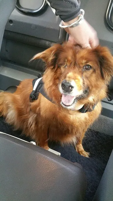 Milford Animal Hospital 6