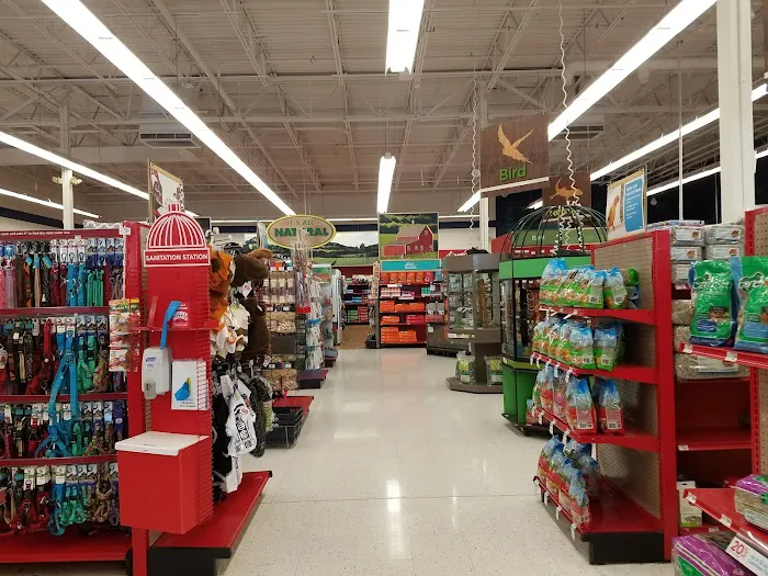 Petco 2