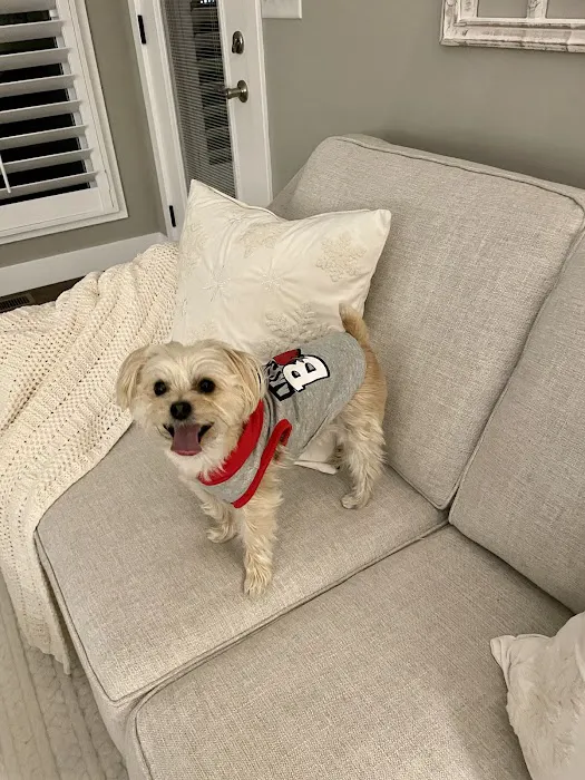 Petco 5