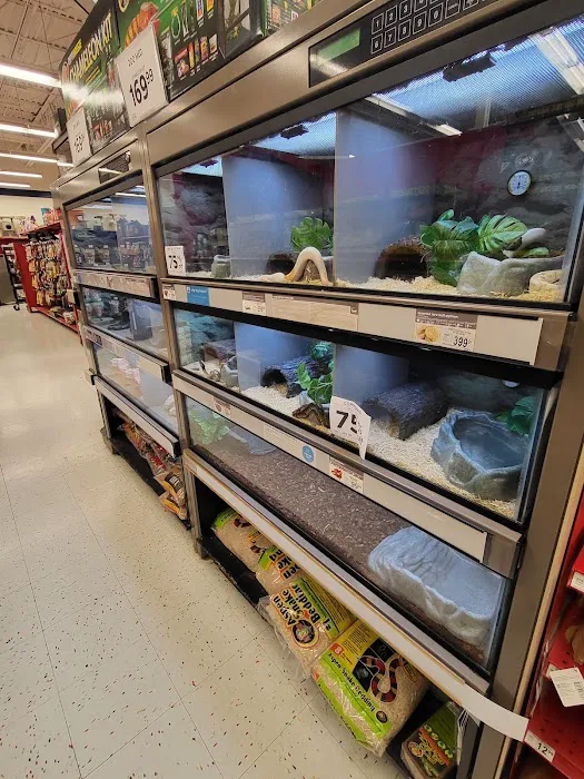 Petco 7