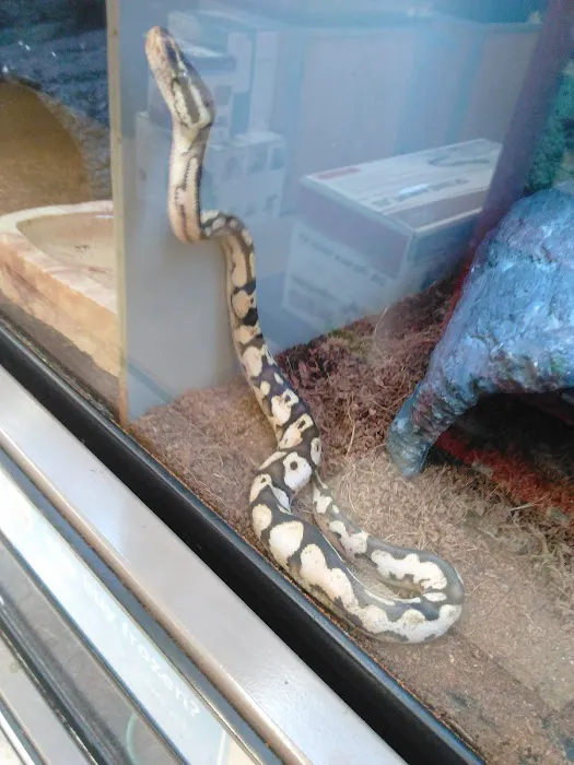 Petco 9
