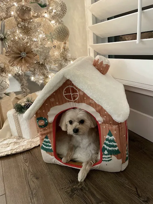 Petco 3