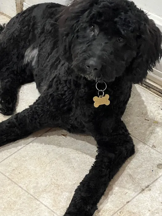 Petco 8