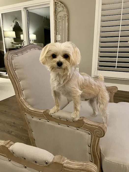 Petco 4