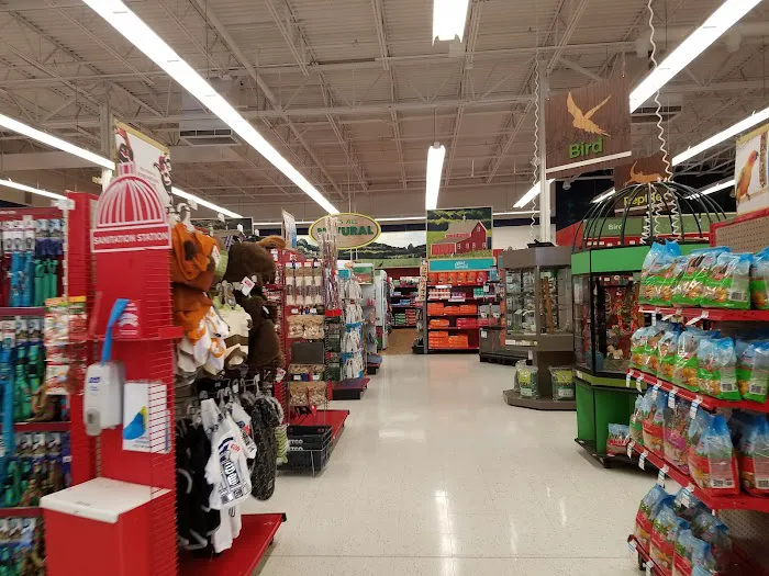 Petco 6