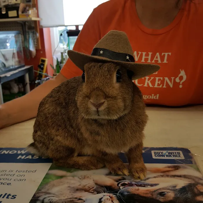 Roeder's Ark Veterinary Hospital 5