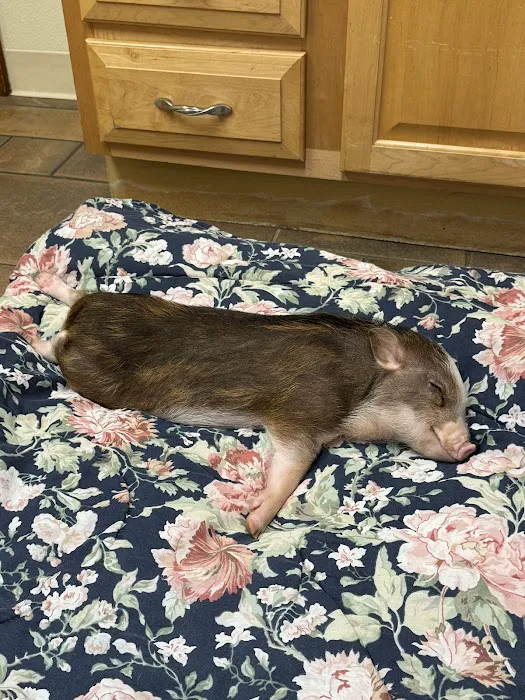 Roeder's Ark Veterinary Hospital 7