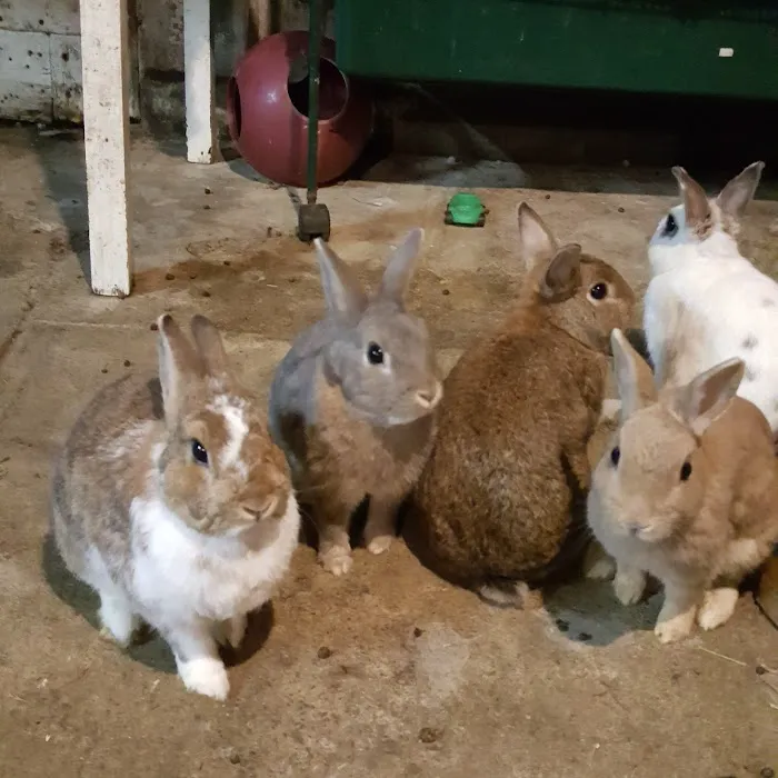 Roeder's Ark Veterinary Hospital 8