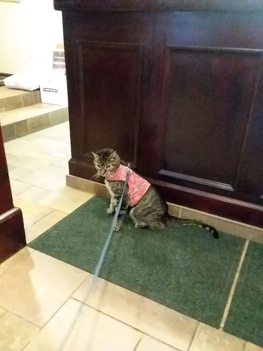 Roeder's Ark Veterinary Hospital 6