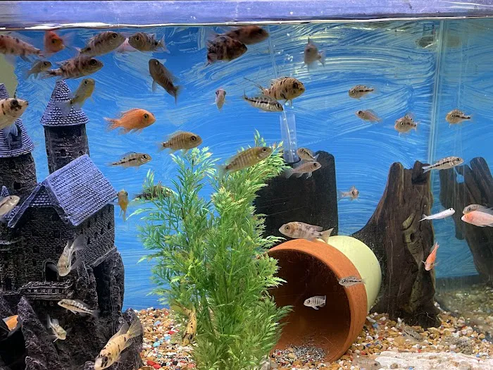 Riverbend Aquatics 9