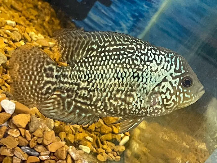 Riverbend Aquatics 1