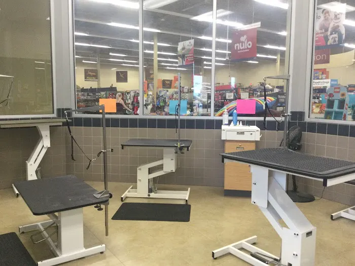 Petco 10